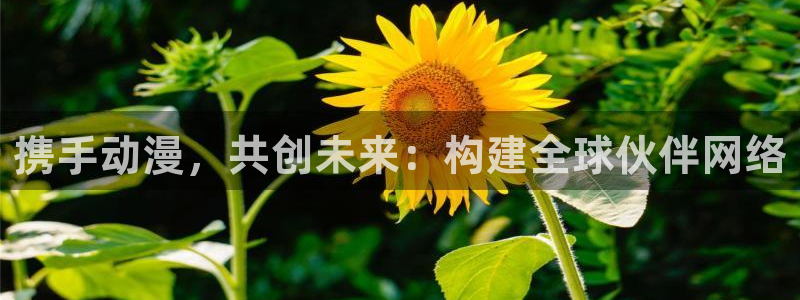 动漫天堂软件：携手动漫，共创未来：构建全球伙伴网络