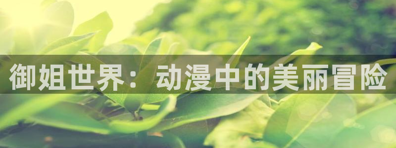 成人动漫天堂：御姐世界：动漫中的美丽冒险