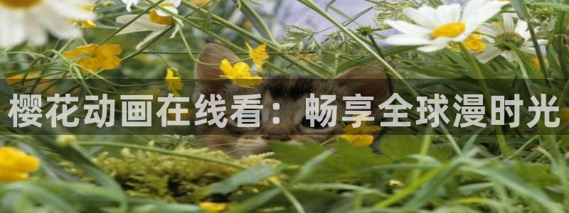 动漫天堂网：樱花动画在线看：畅享全球漫时光