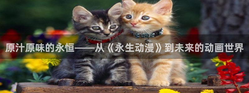原神动漫天堂免费入口：原汁原味的永恒——从《永生动漫》到未来的动画世界