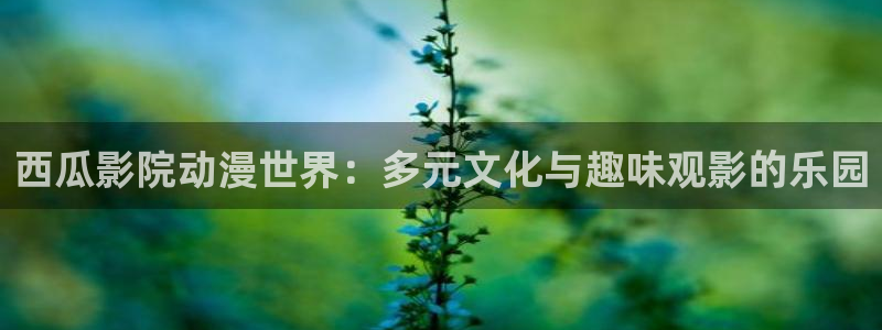 亚洲成人动漫天堂：西瓜影院动漫世界：多元文化与趣味观影的乐园