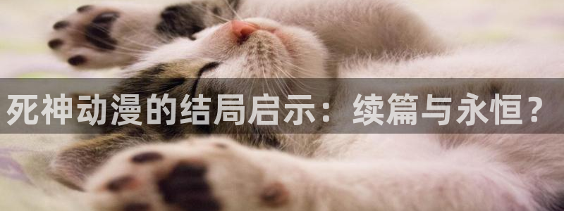 h动漫天堂：死神动漫的结局启示：续篇与永恒？