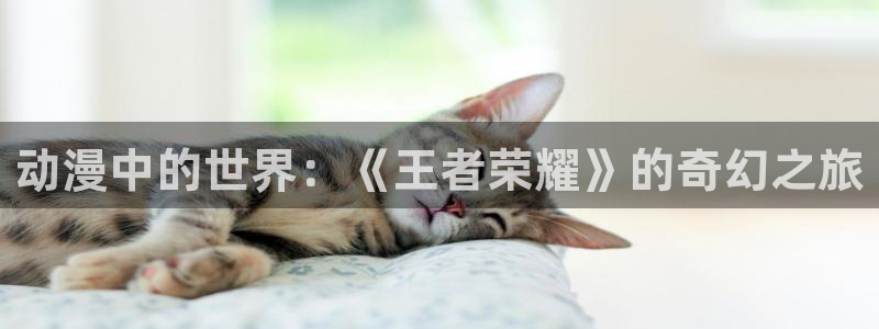 动漫天堂岛：动漫中的世界：《王者荣耀》的奇幻之旅