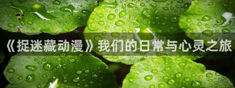 动漫天堂从哪下载安装：《捉迷藏动漫》我们的日常与心灵之旅
