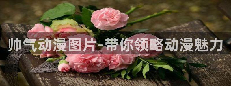 动漫天堂91：帅气动漫图片-带你领略动漫魅力