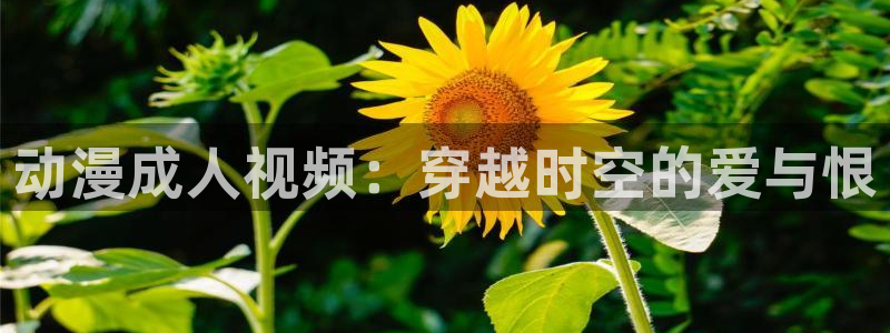 动漫天堂免费下载：动漫成人视频：穿越时空的爱与恨
