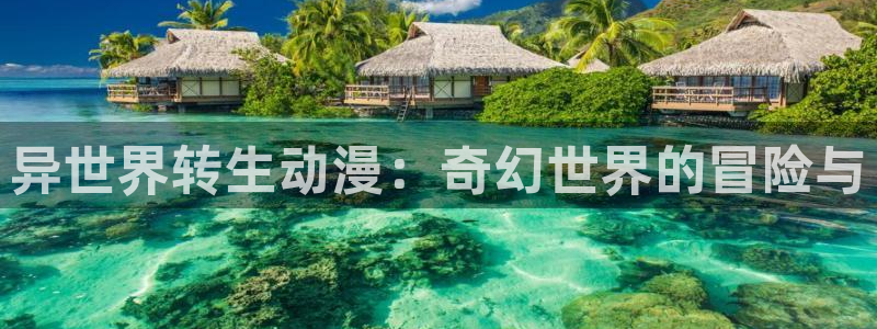 动漫天堂下载正版：异世界转生动漫：奇幻世界的冒险与