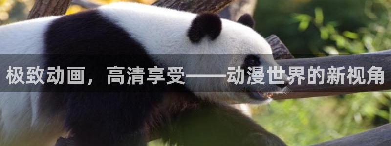 免费动漫天堂之吻：极致动画，高清享受——动漫世界的新视角