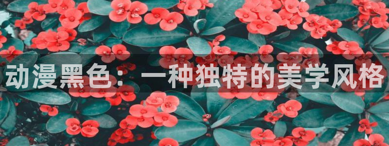 coco动漫天堂：动漫黑色：一种独特的美学风格
