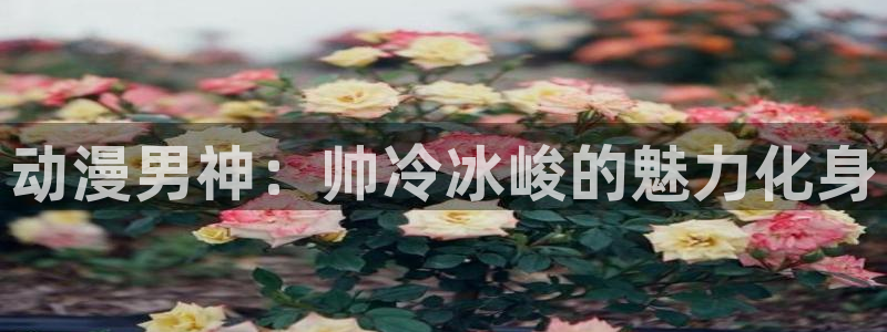 动漫天堂网：动漫男神：帅冷冰峻的魅力化身